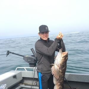 Meet your Posher, Hayden